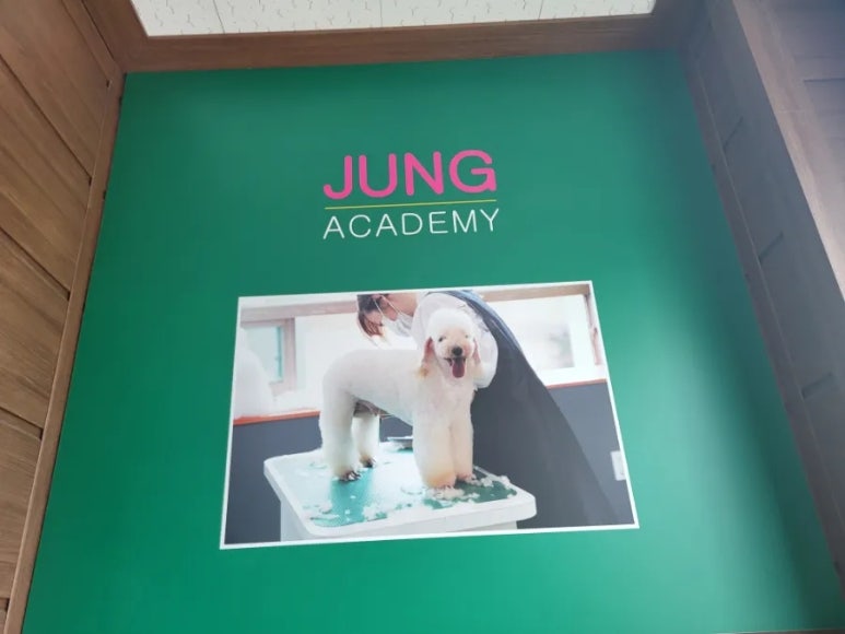 포항애견미용학원 이미지