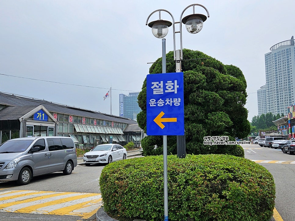 장미공판장 이미지