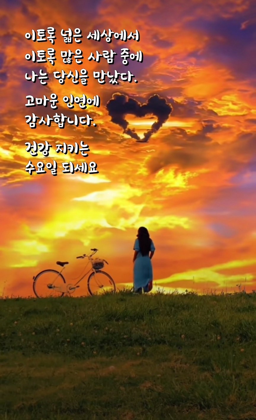 고핏 이미지