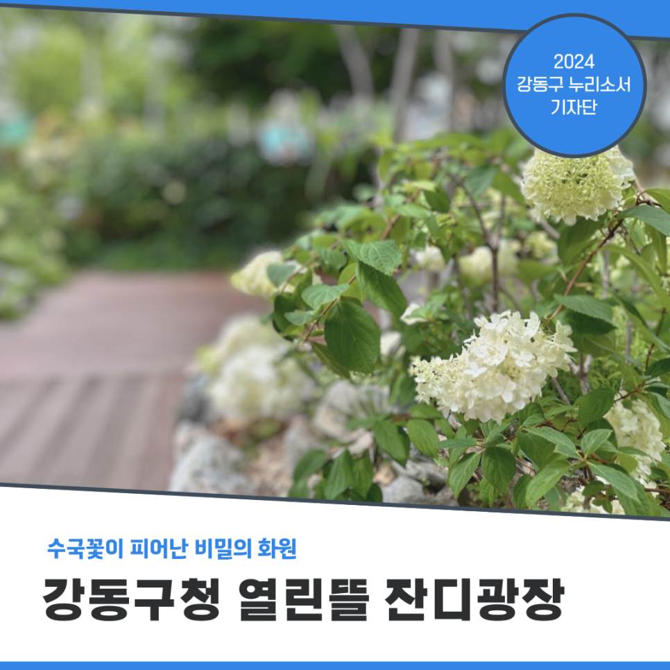 강동꽃화원 이미지