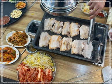 황금복돼지 이미지
