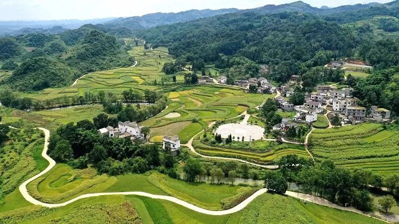 거촌주 이미지