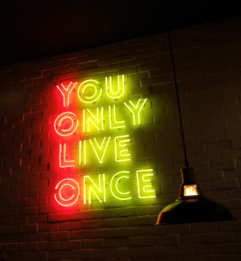 욜로(YOLO) 이미지