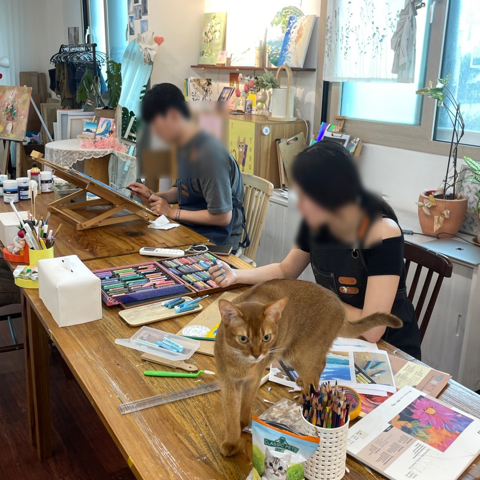 보니따스튜디오 이미지