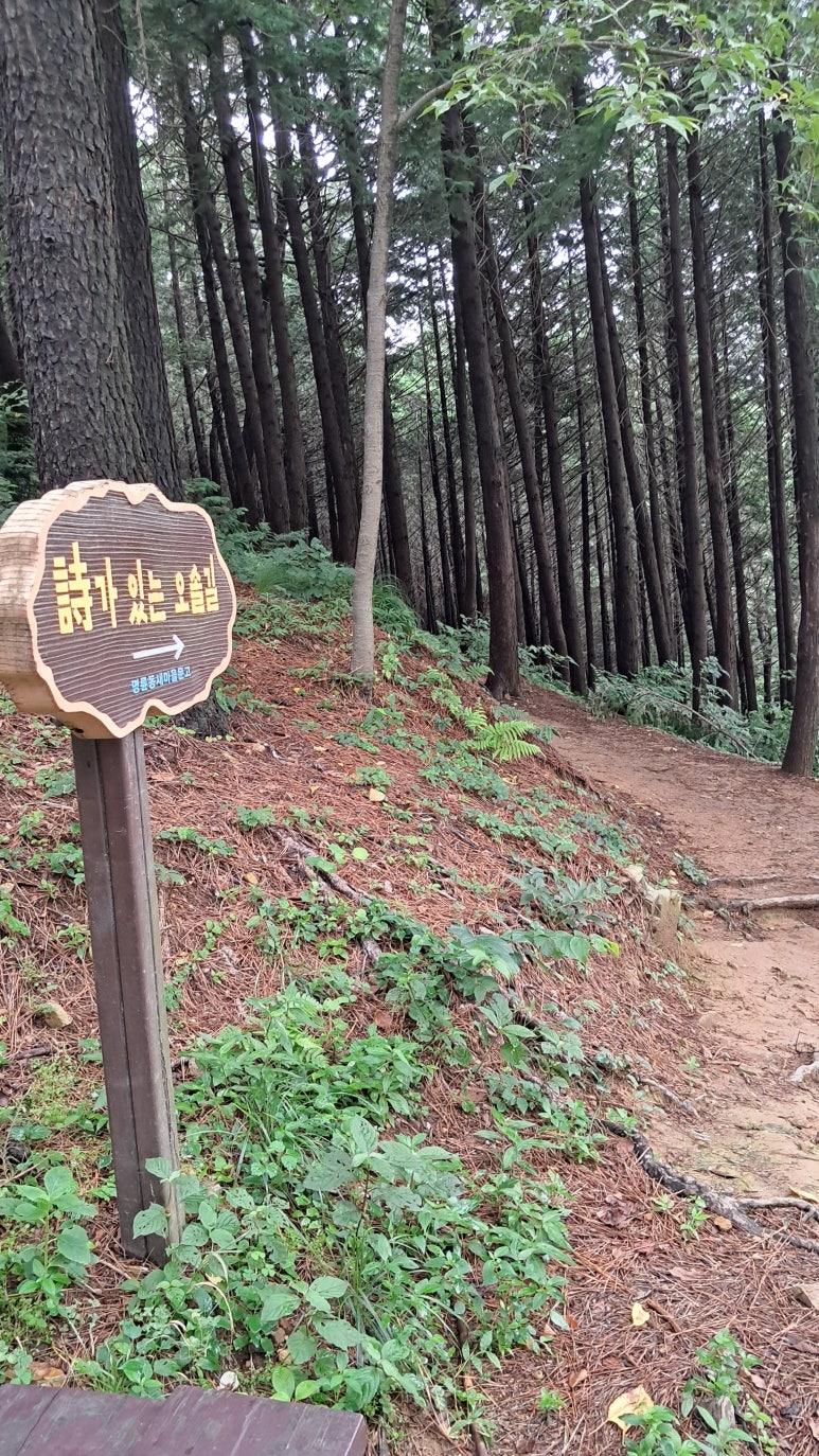 천동로또 이미지