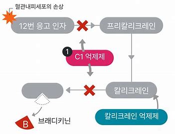 강서기전 이미지