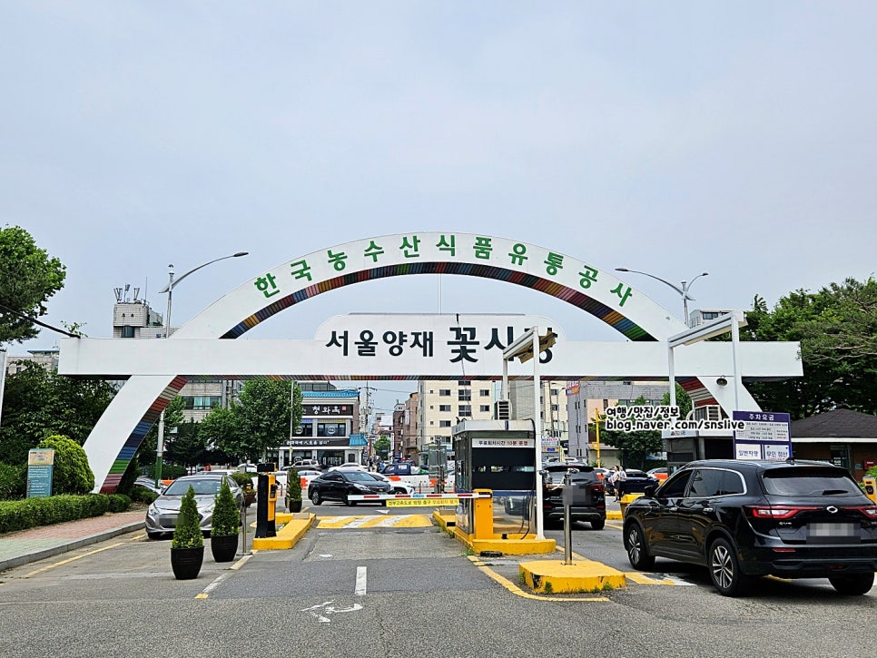 장미공판장 이미지