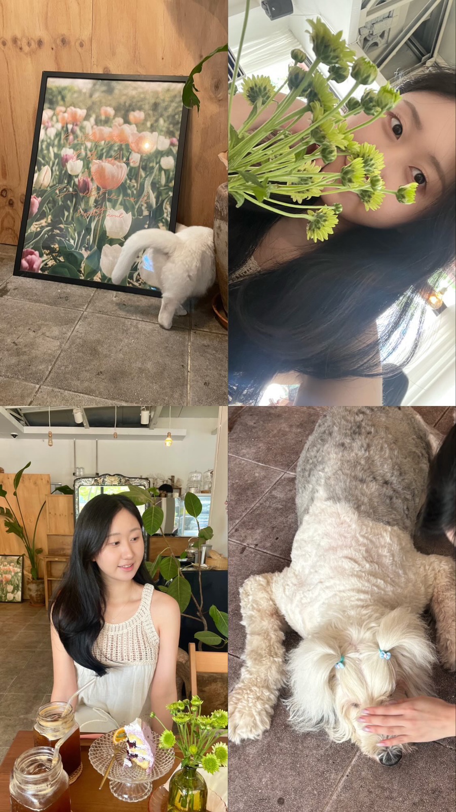 라헨플라워 이미지