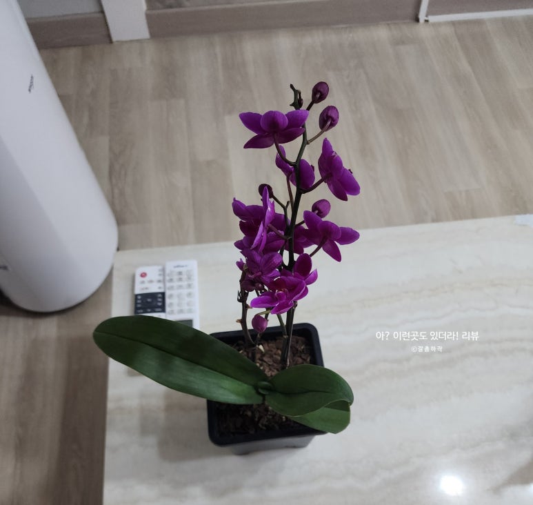 보문모든풀빌라 이미지