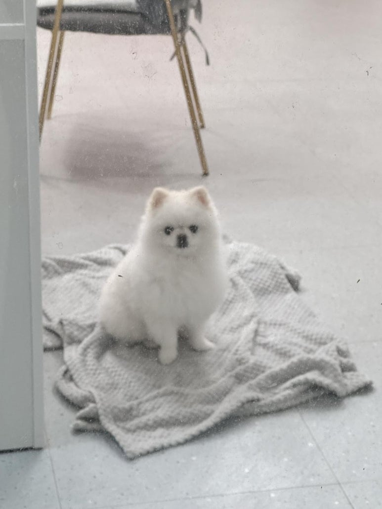 커믈리네일엔뷰티 이미지