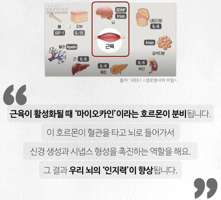 선사헬스 이미지