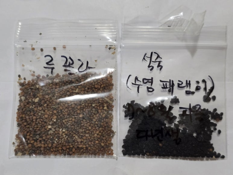키맘 이미지