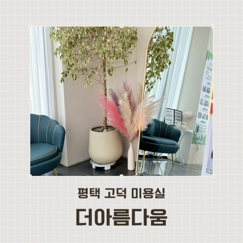 더아름다움 이미지