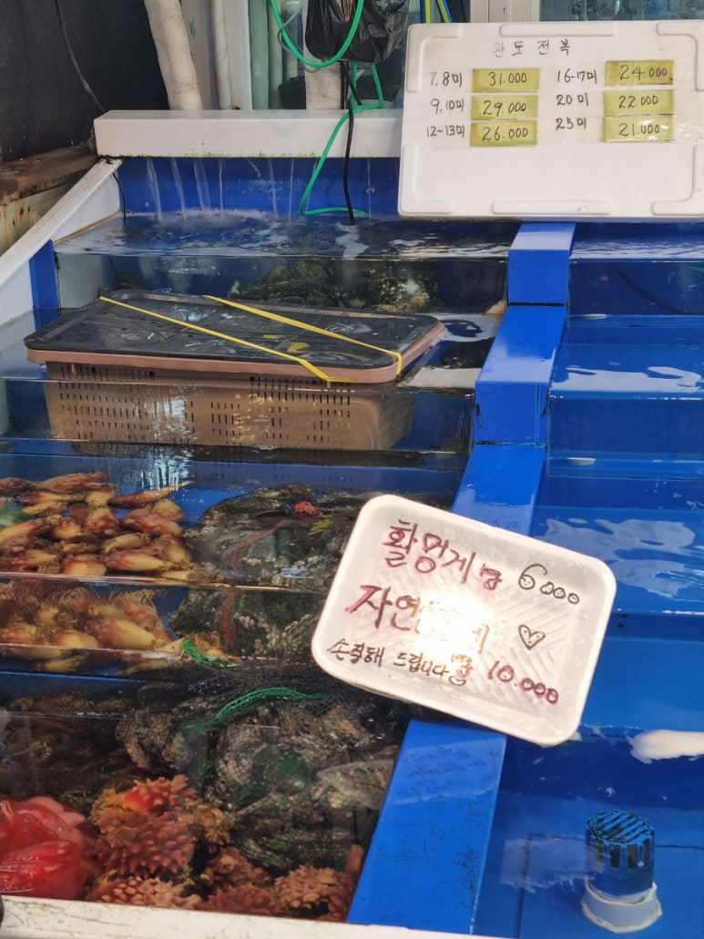 오만가지수산 이미지