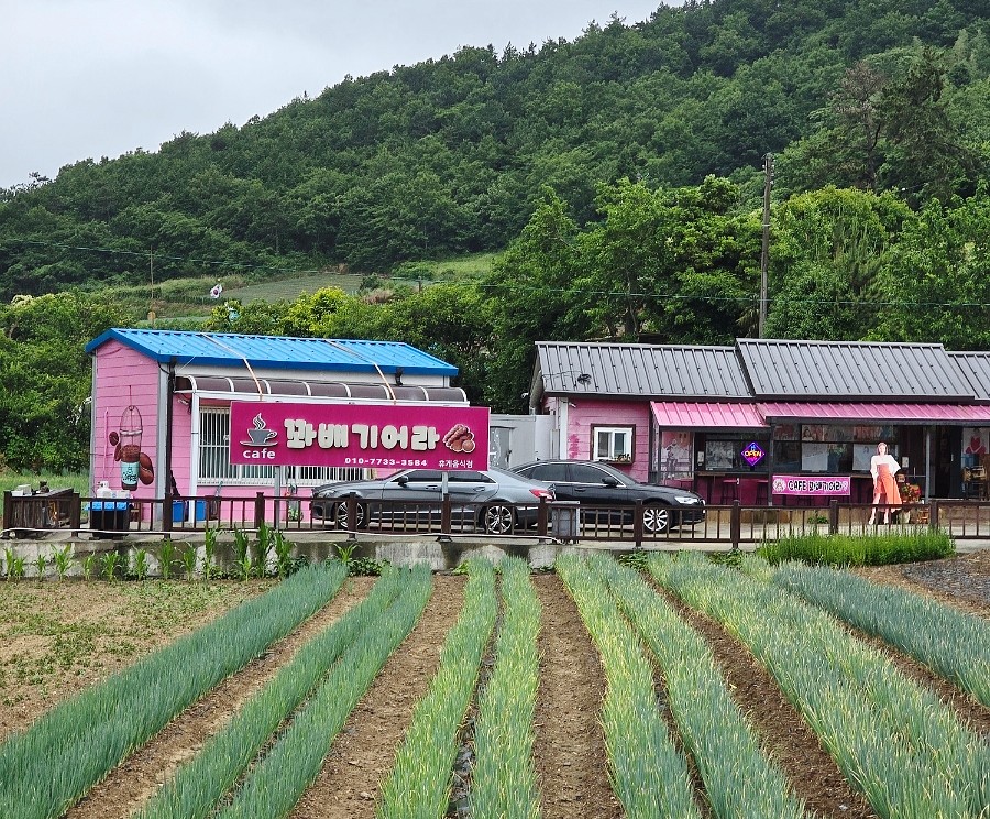 카페꽈배기어라 이미지