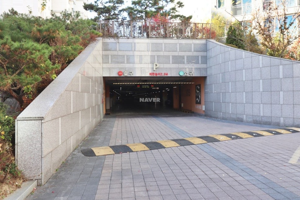 블루에듀 이미지