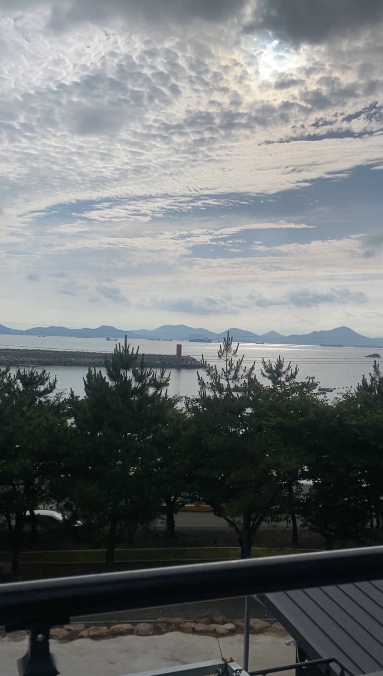 깨끗허니 이미지