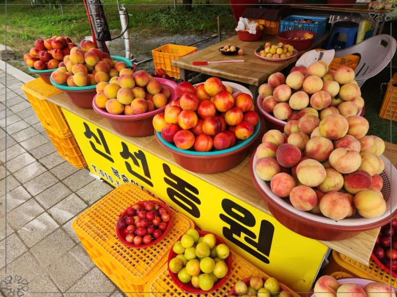 신선농원 이미지