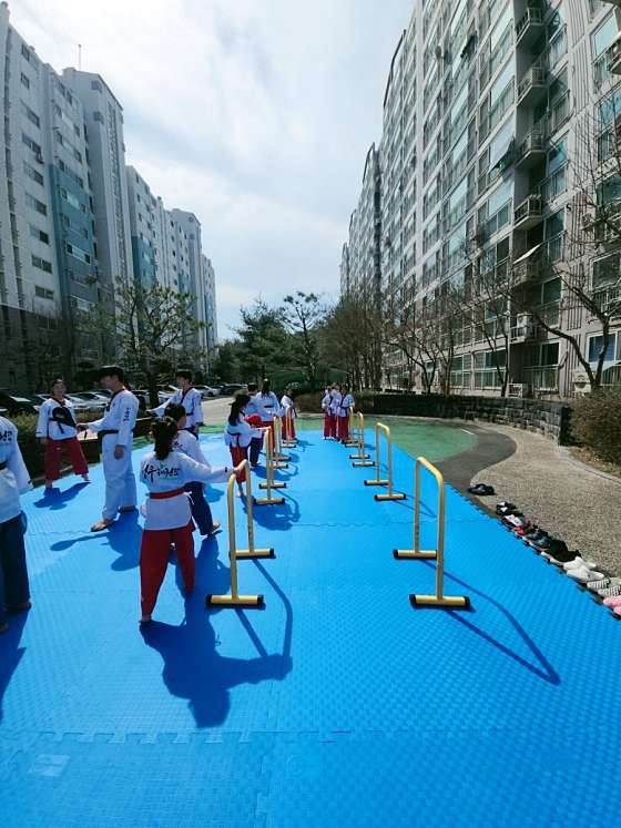용인대체육관 이미지