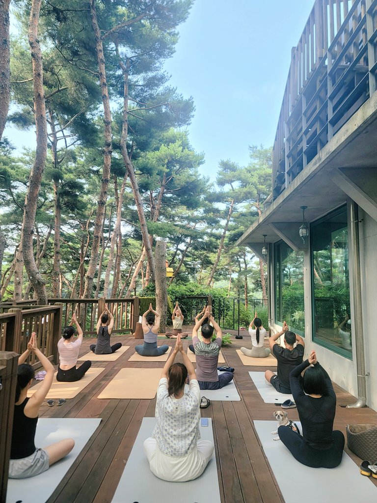 금베이숲 이미지