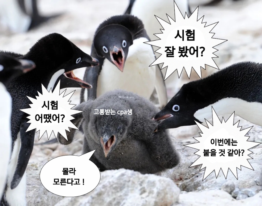 안진회계법인 이미지