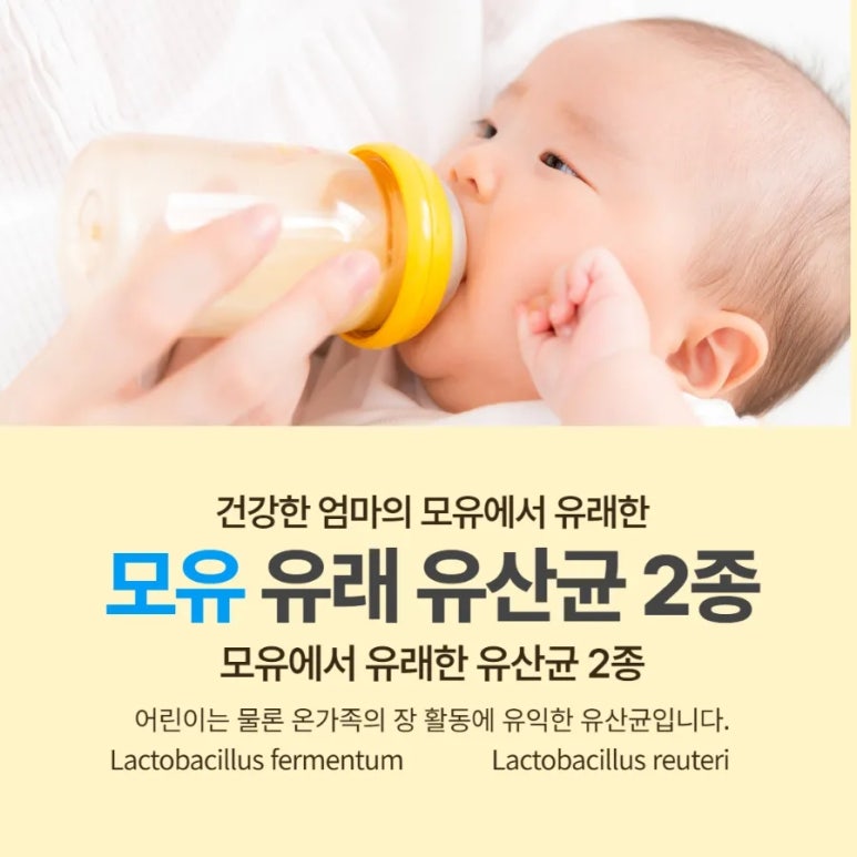 테디베어에프엔비 이미지