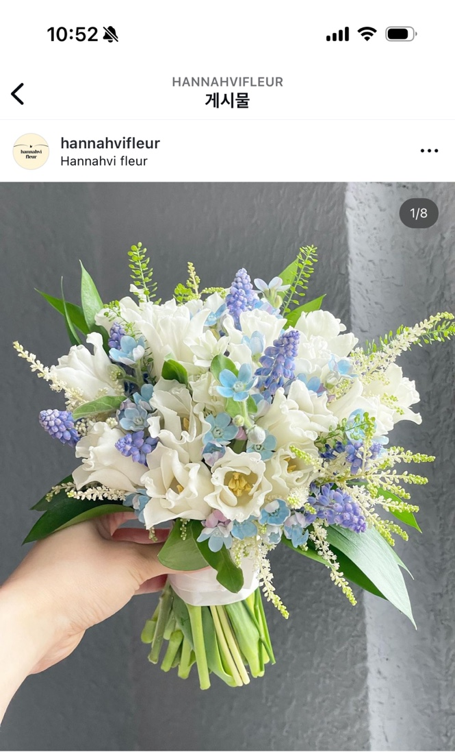 한나비플뢰르 이미지