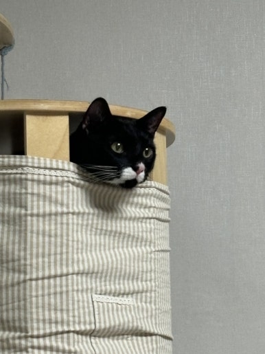 햅앤탭 이미지