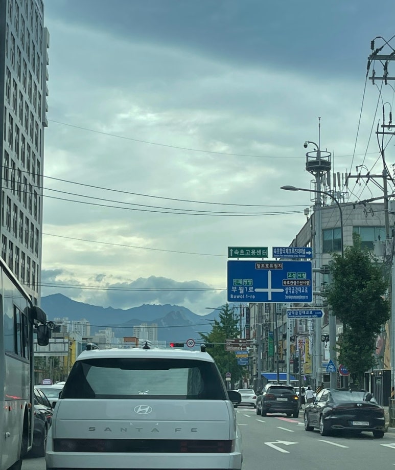 혜영이네오징어순대 이미지