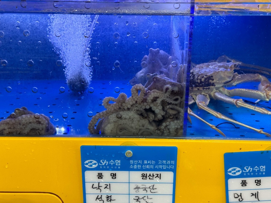 쩡수산 이미지