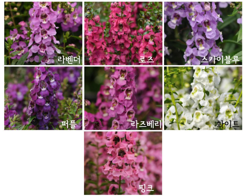 가드너스박스 이미지