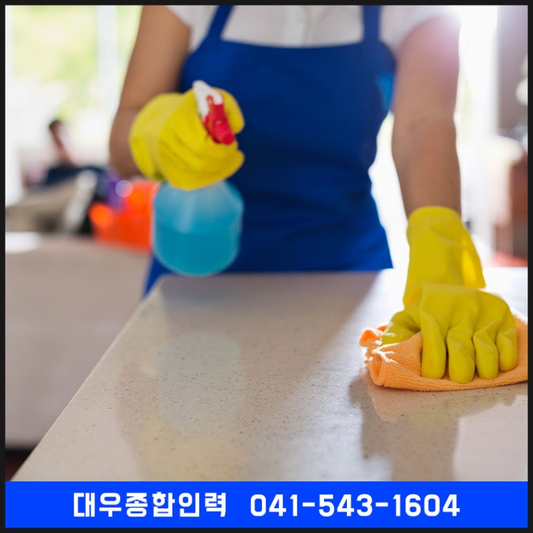 대우종합인력 이미지
