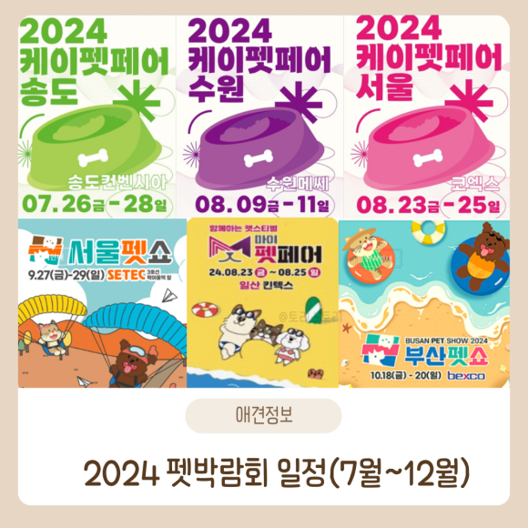마이팀페어스 이미지