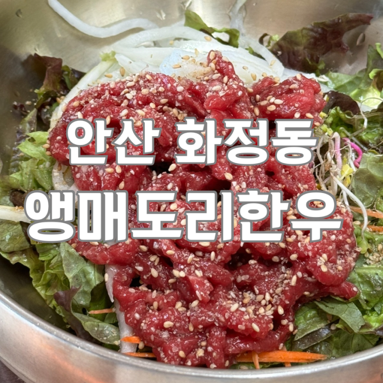 앵매도리한우 이미지