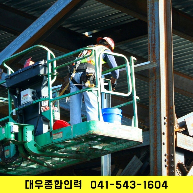 대우종합인력 이미지