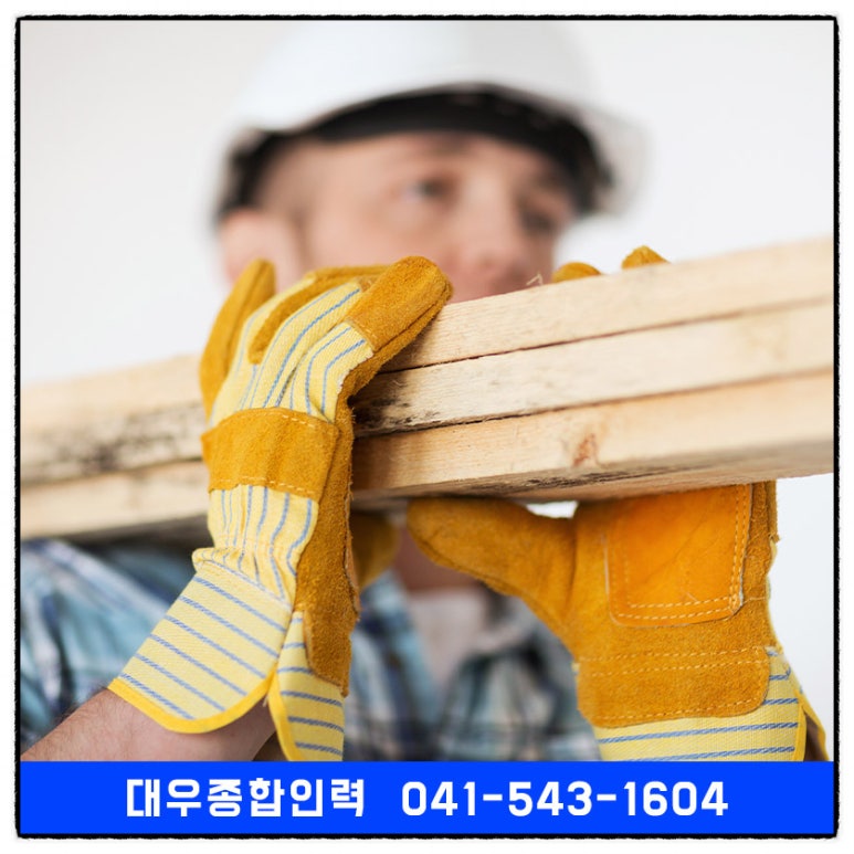 대우종합인력 이미지