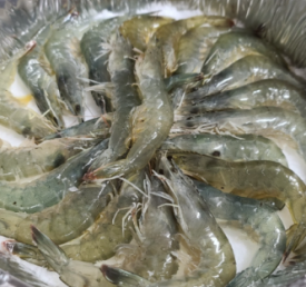삼포수산식당 이미지