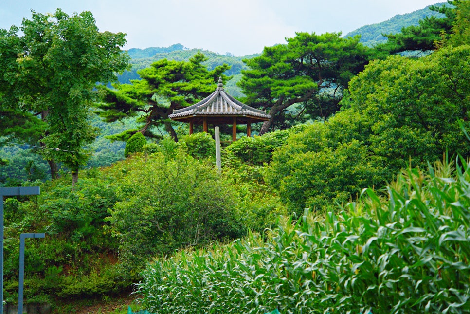 풀꽃마을 이미지
