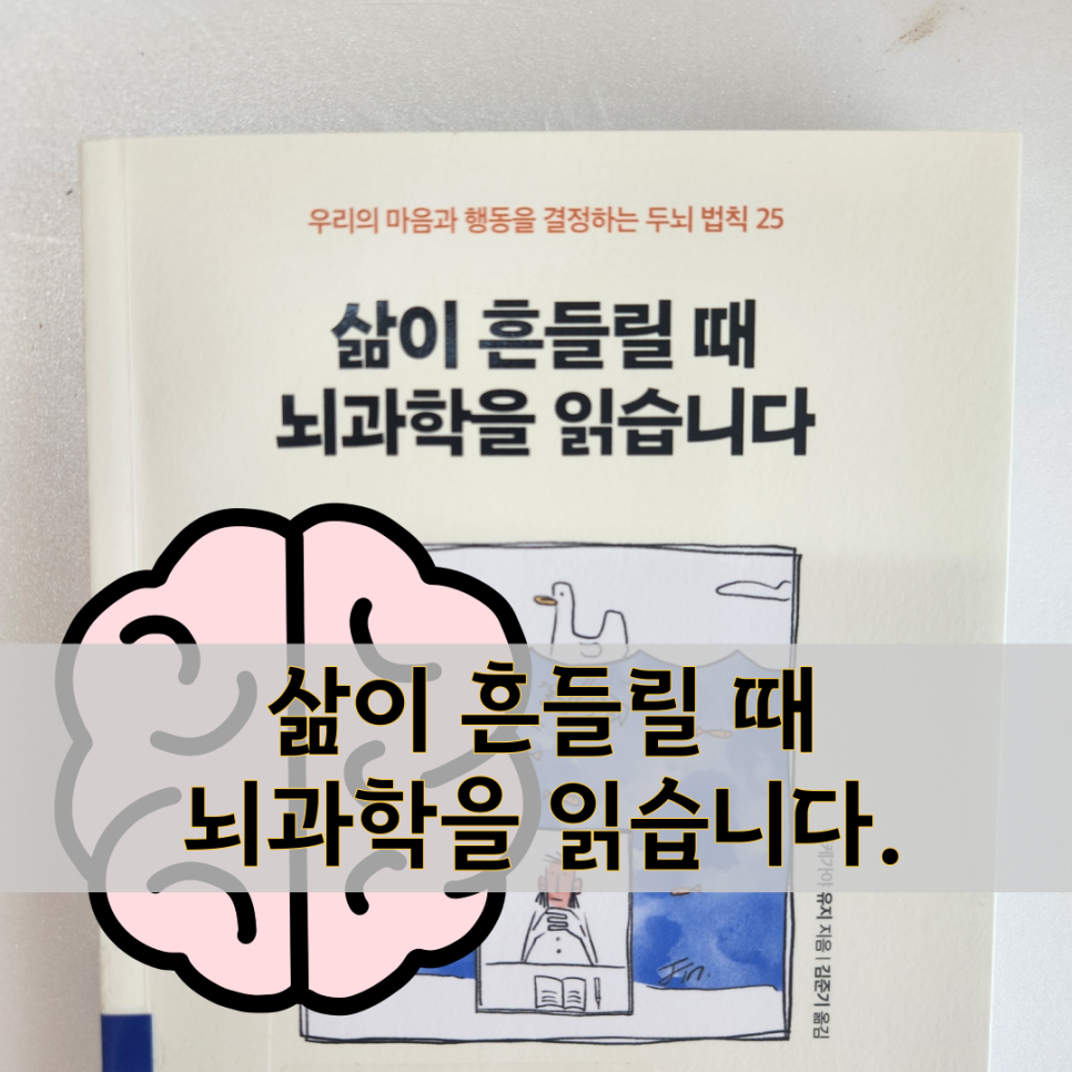 삶이 흔들릴 때 뇌과학을 읽습니다. 줄거리 요약