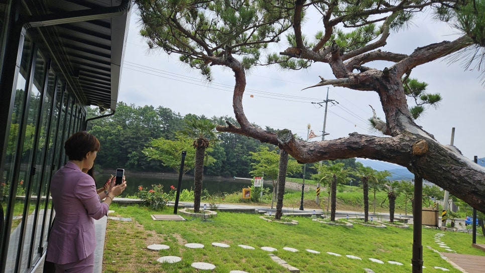 카페;바오 이미지