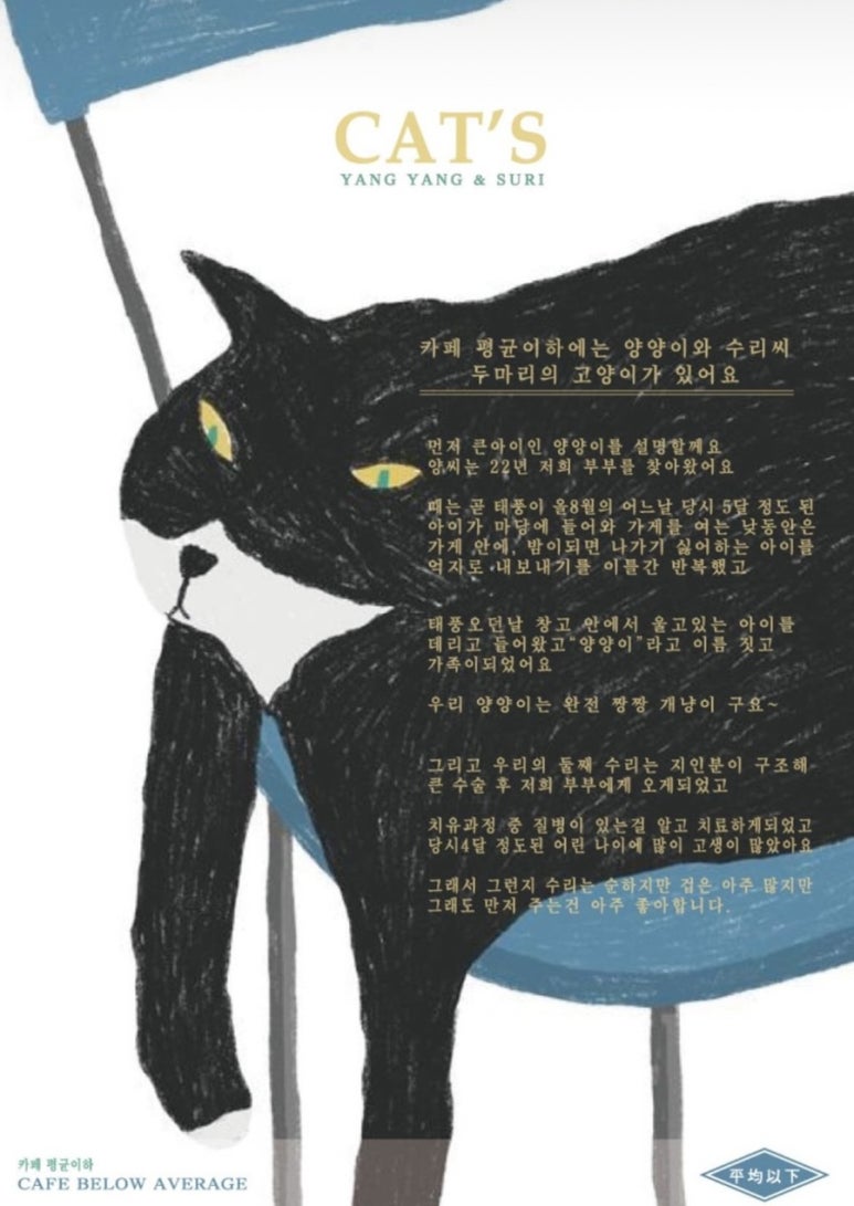 새마을서핑운동 이미지