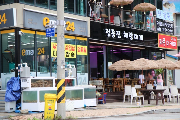 정동진해랑대게 이미지