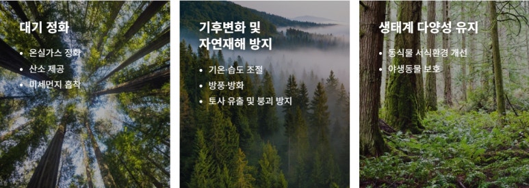 푸른숲가든 이미지