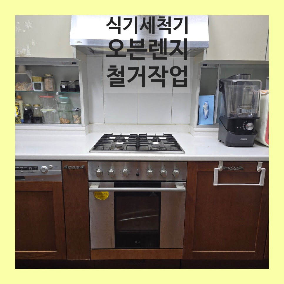 데이비드리페어 이미지