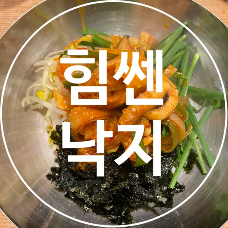 반송낙지 이미지