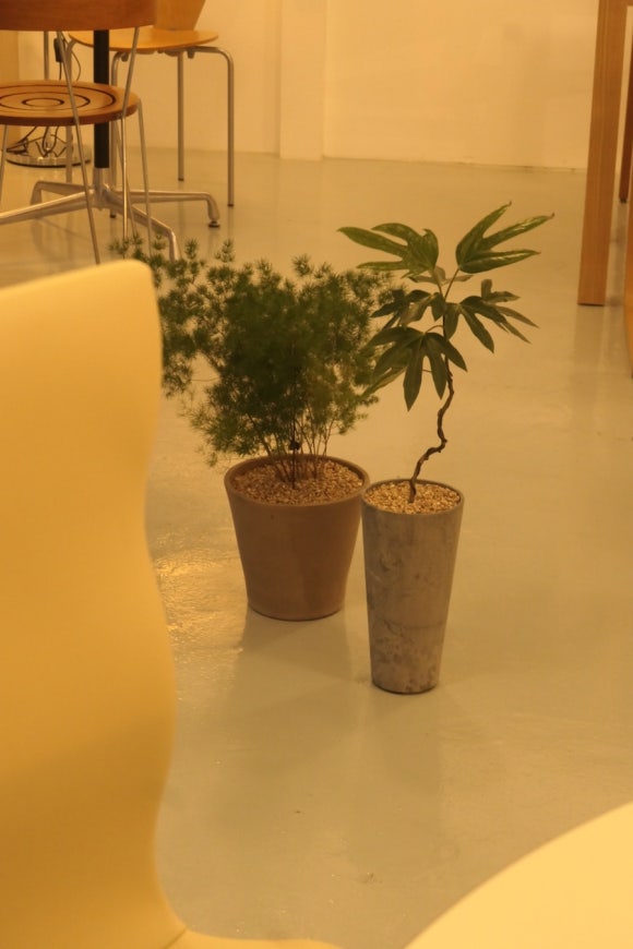 토그 커피샵(tog coffee shop) 이미지