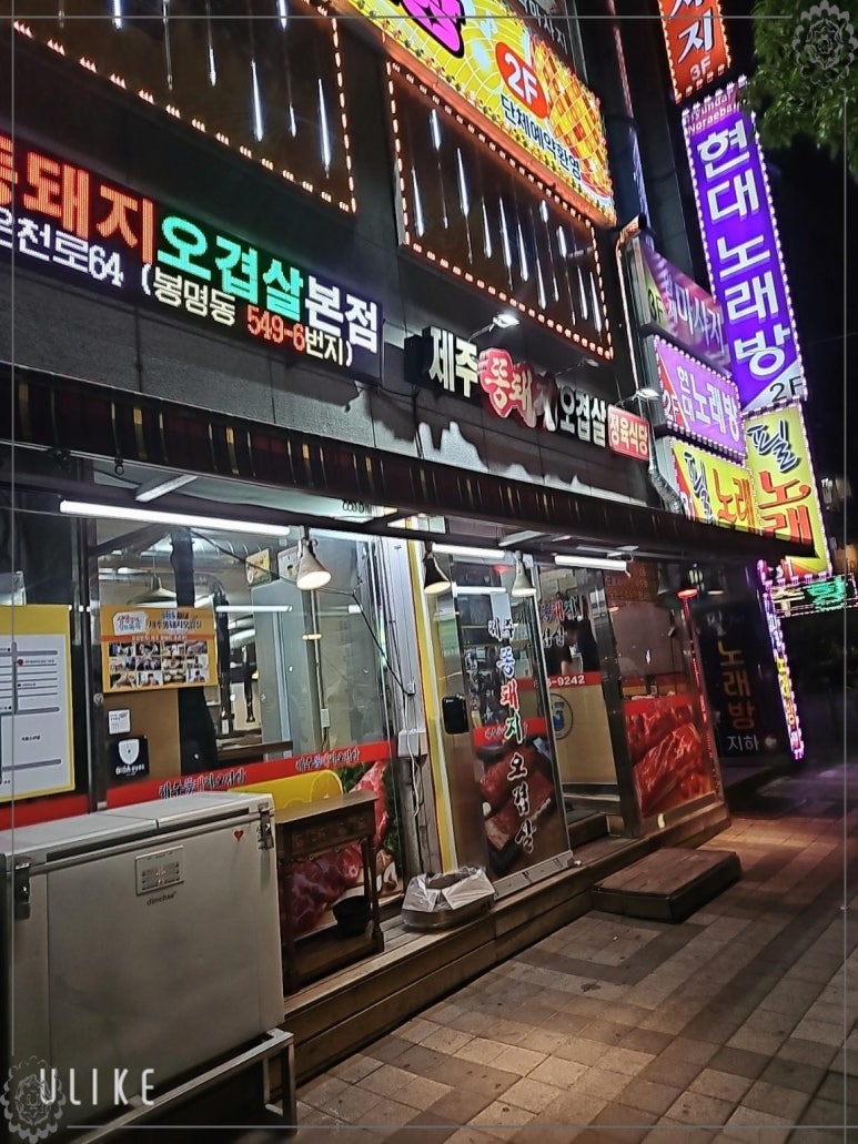 제주똥돼지 이미지