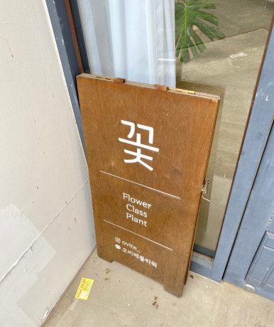 오비떼플라워 이미지