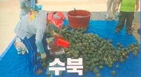 남해군농협조합공동사업법인 이미지
