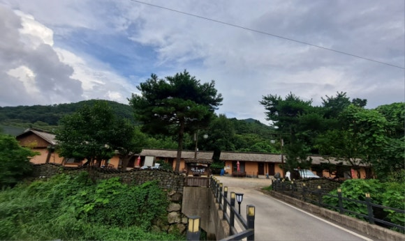 초록마을 바나나나무 이미지